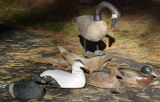 You may click on these images to enlarge.