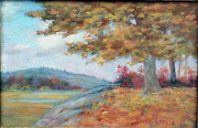 You may click on these images for an enlarged view.